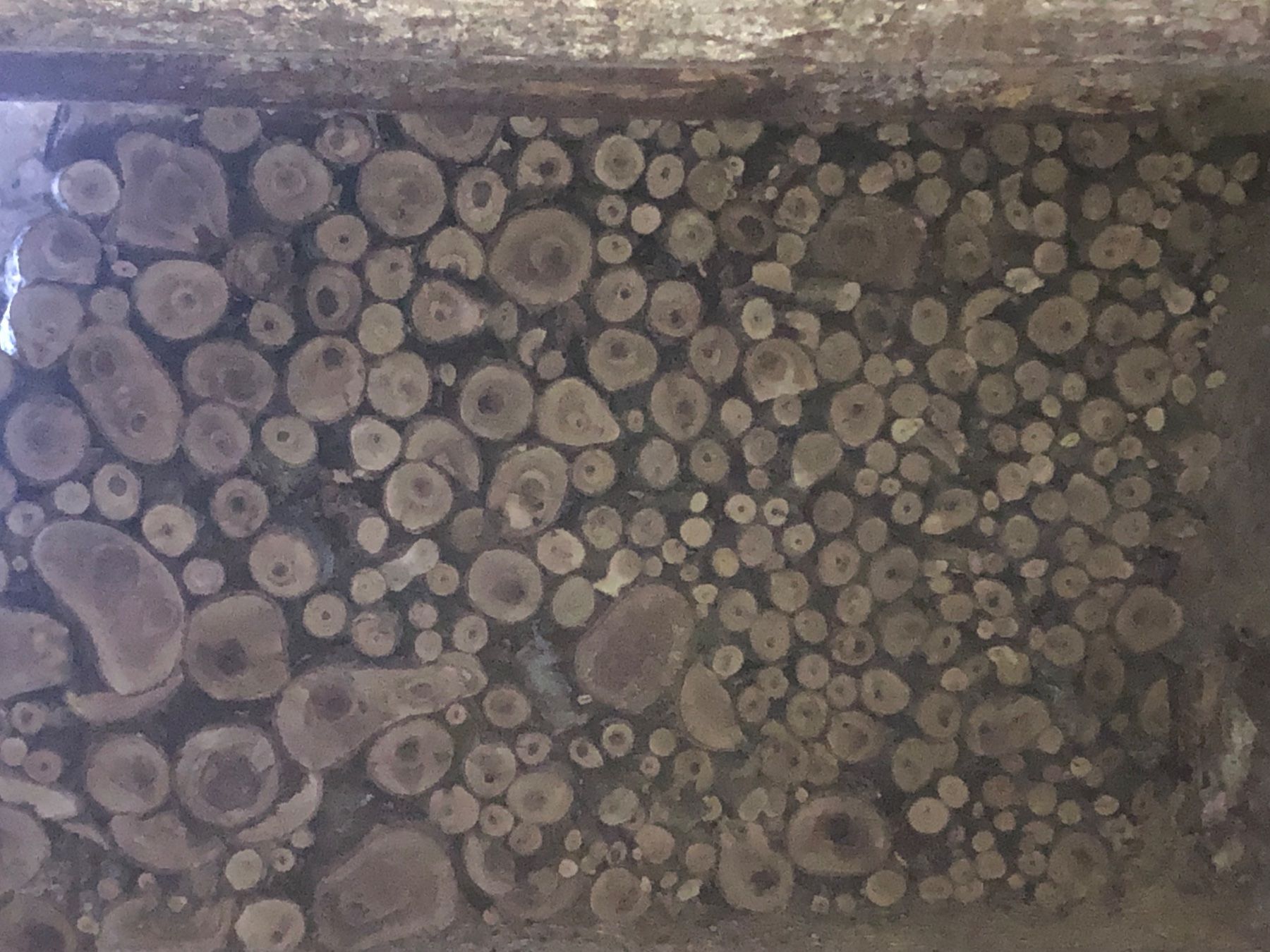 Articoli in legno: Nussbaum Holz – Usato da Neu St. Johann venduto da Gaga-2019 3