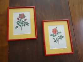 Dessins de roses rouges encadrés - 2 pièces