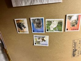 Katzen Briefmarken Jersey Neu