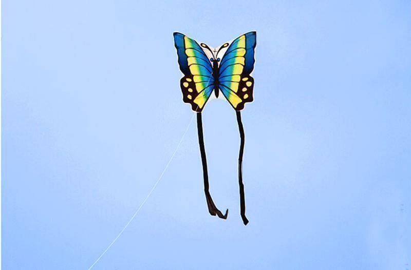 Spiele: Cerf-Volant Papillon bleu – Neu und originalverpackt aus Gurmels von Swisspod 1
