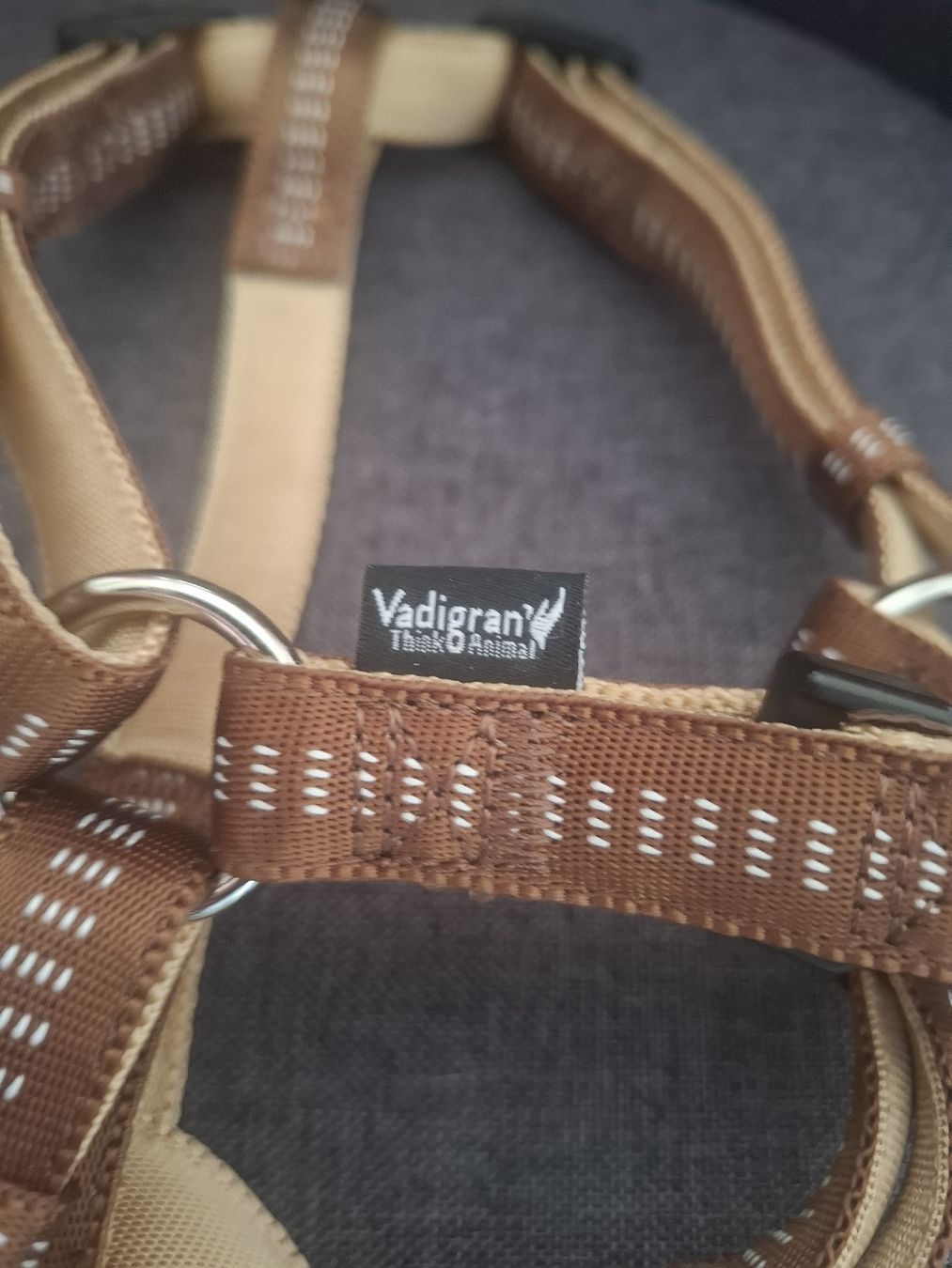 Kletterausrüstungen: Harnais Vadigran Think Animal, taille S/M – Neu (gemäss Beschreibung) aus Riddes von mim_qs5p 1