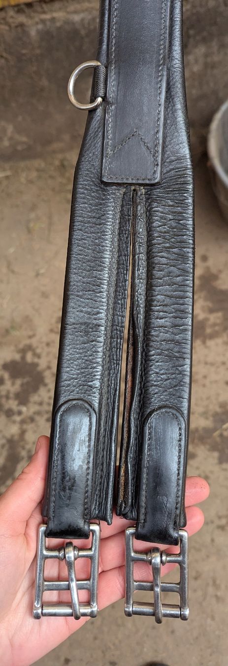 Selle & Accessori: Springgurt – Usato da Rüti zh venduto da hae_p9fs 3