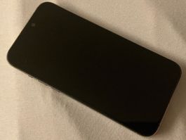 iPhone 15 Pro Max 256GB | Titanium | Hülle | Privacy Screen