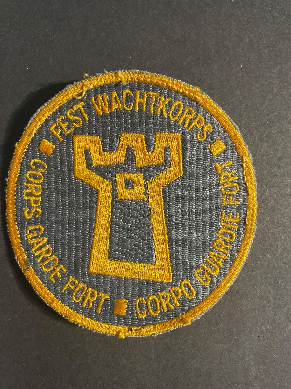Schweizer Armee Placchette & Badge: Badge FEST WACHTKORPS – Usato da Wila venduto da Lokelo