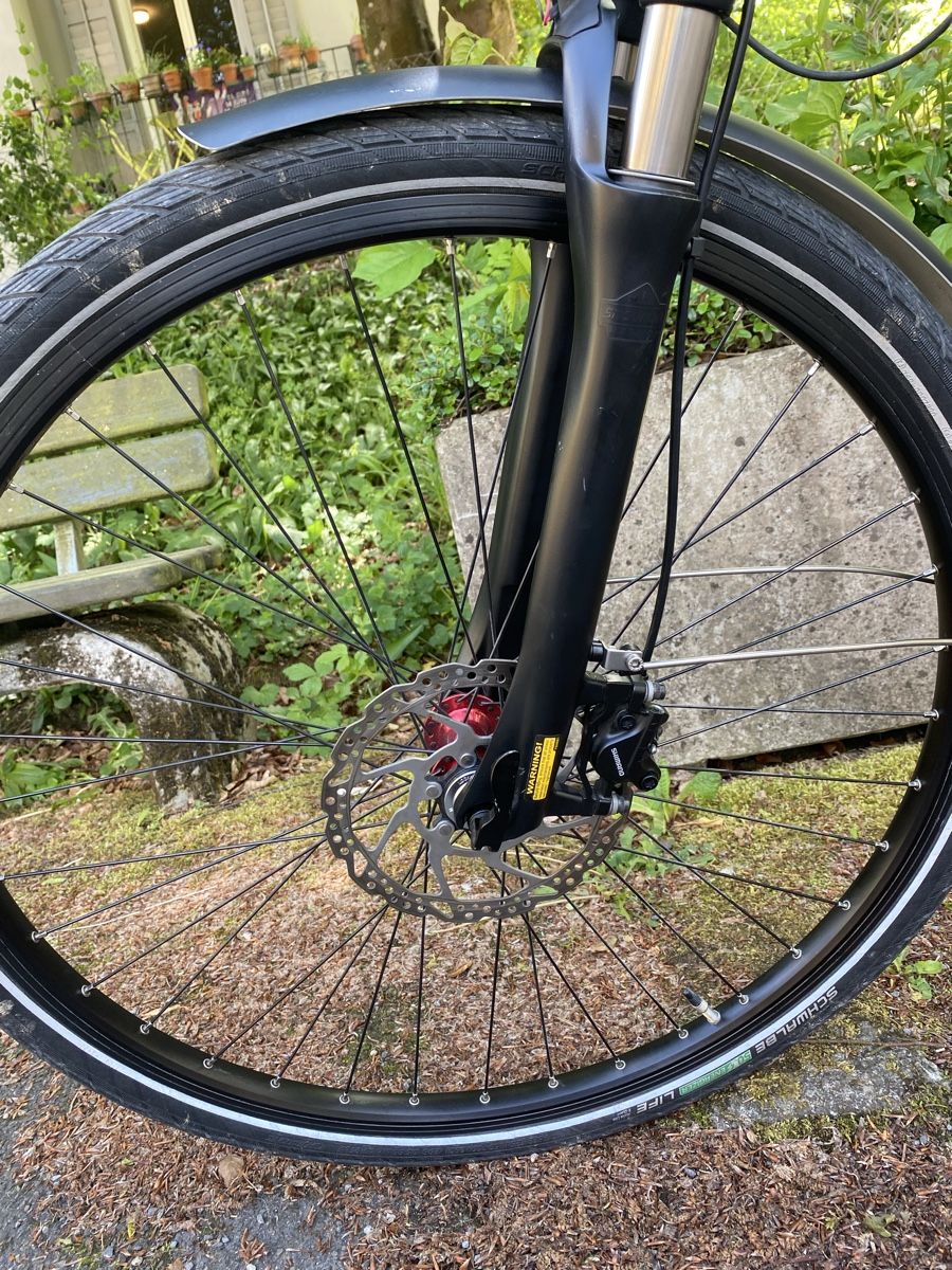 Bosch Biciclette: Bosch Sinus 25km/h – Usato da Luzern venduto da Goodmorning_16 2
