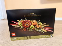 LEGO Icons 10314 Trockenblumen Mitteldeko, neu & OVP Frühlin