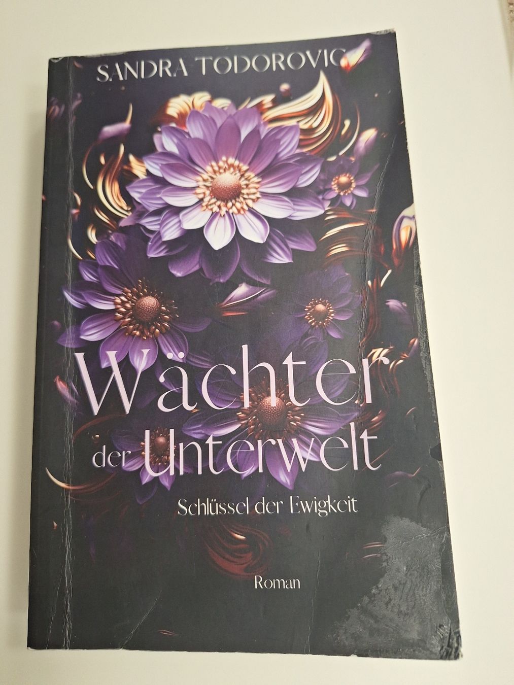 Libri: Buch Wächter der Unterwelt Teil 1 Sandra Todorovic – Usato da Brittnau venduto da Norge77