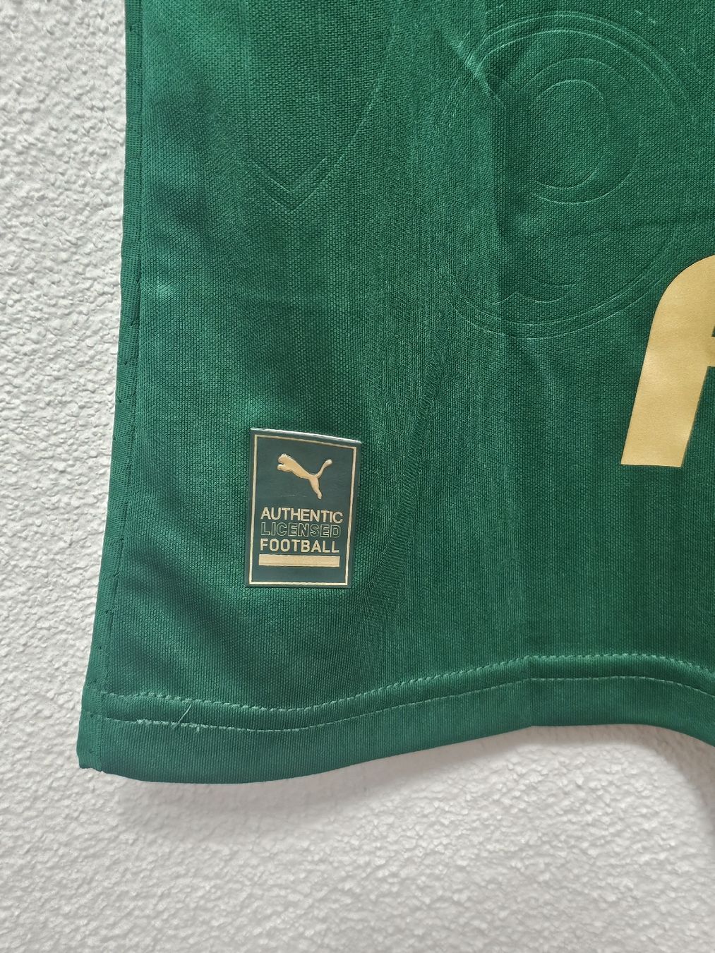 Canottiere & Pantaloni: Palmeiras Trikot 24/25 – Nuovo (secondo la descrizione) da Rickenbach LU venduto da LichterWelt 5