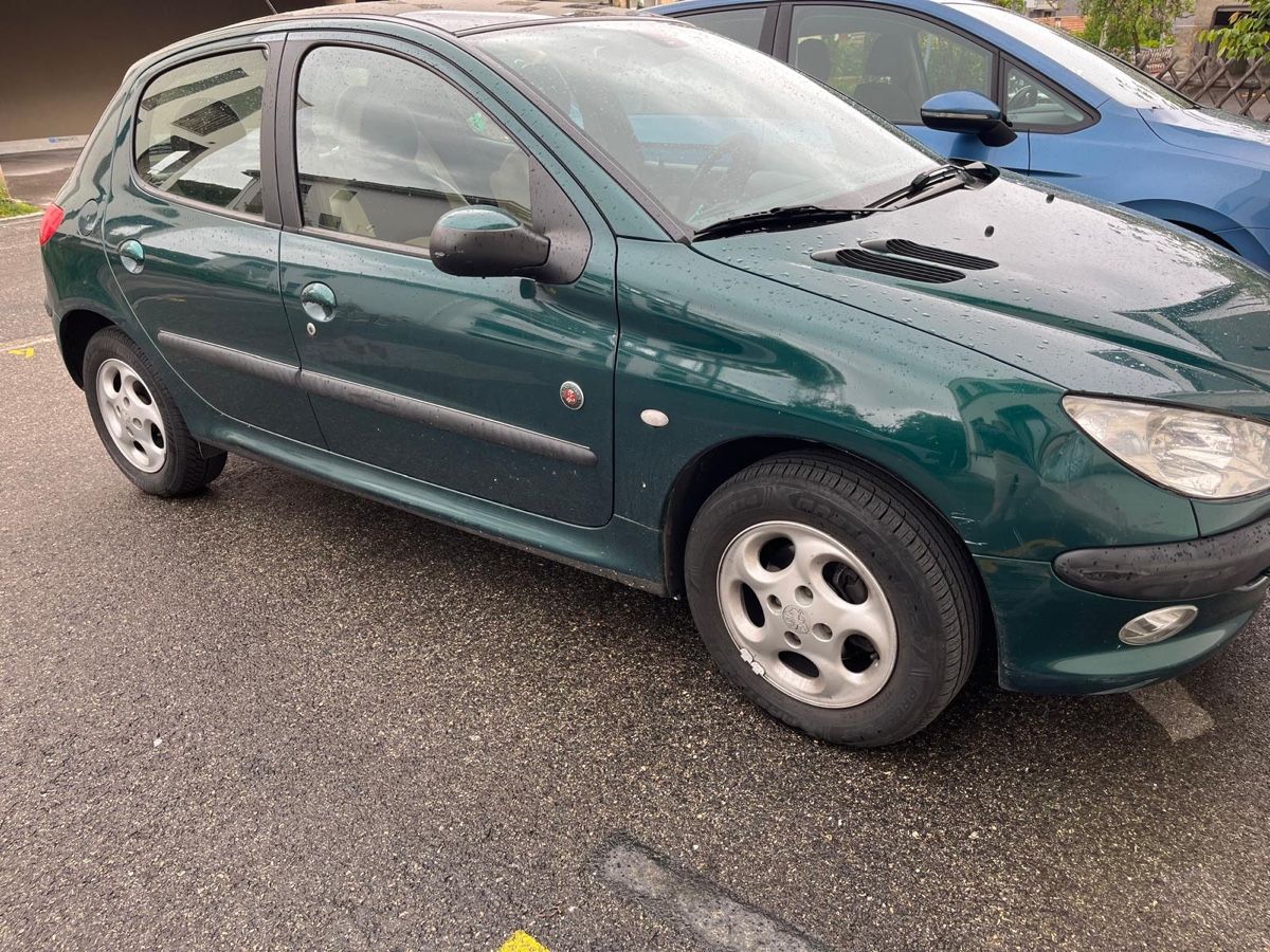 Peugeot Automobili: Peugeot 206 1.6i – Usato da Gorgier venduto da hcaroline4 1