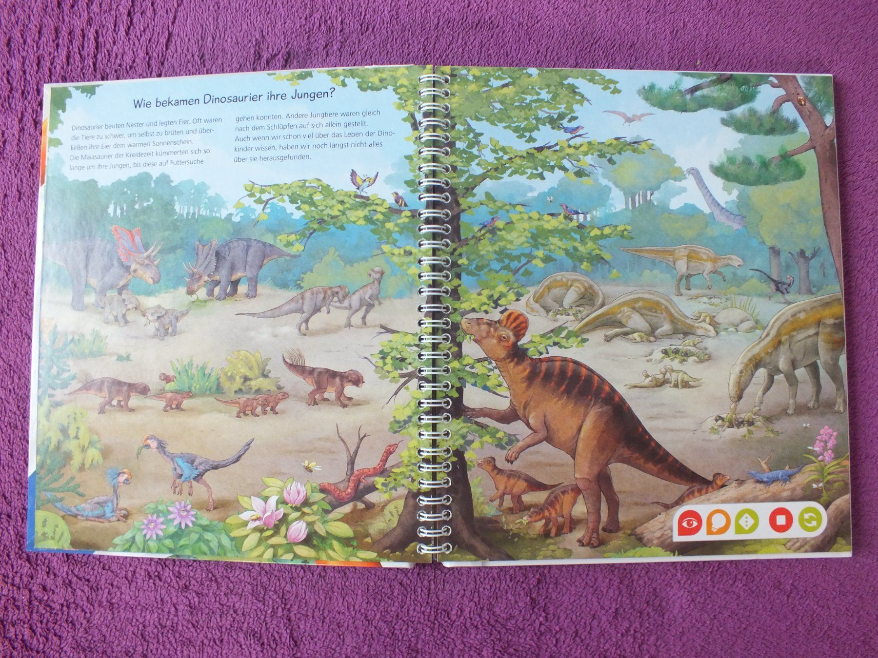Bücher: tiptoi Buch - Wir entdecken die Dinosaurier – Gebraucht aus Müllheim Dorf von Seeeule01 4