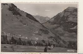 Wiesenberg