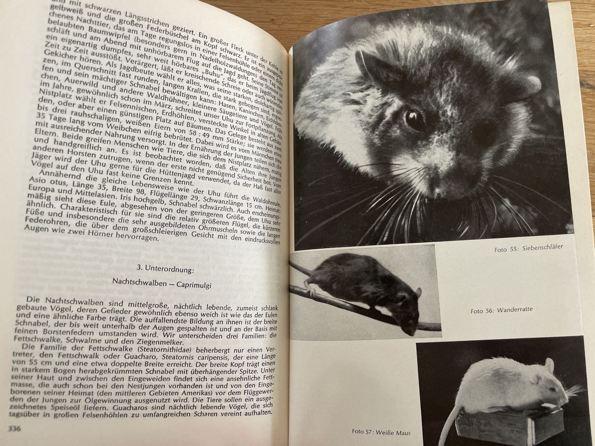 Libri: Die Tierwelt nach Brehm - Dr. Rudolf Barth – Usato da Winterthur venduto da cheerio97 8