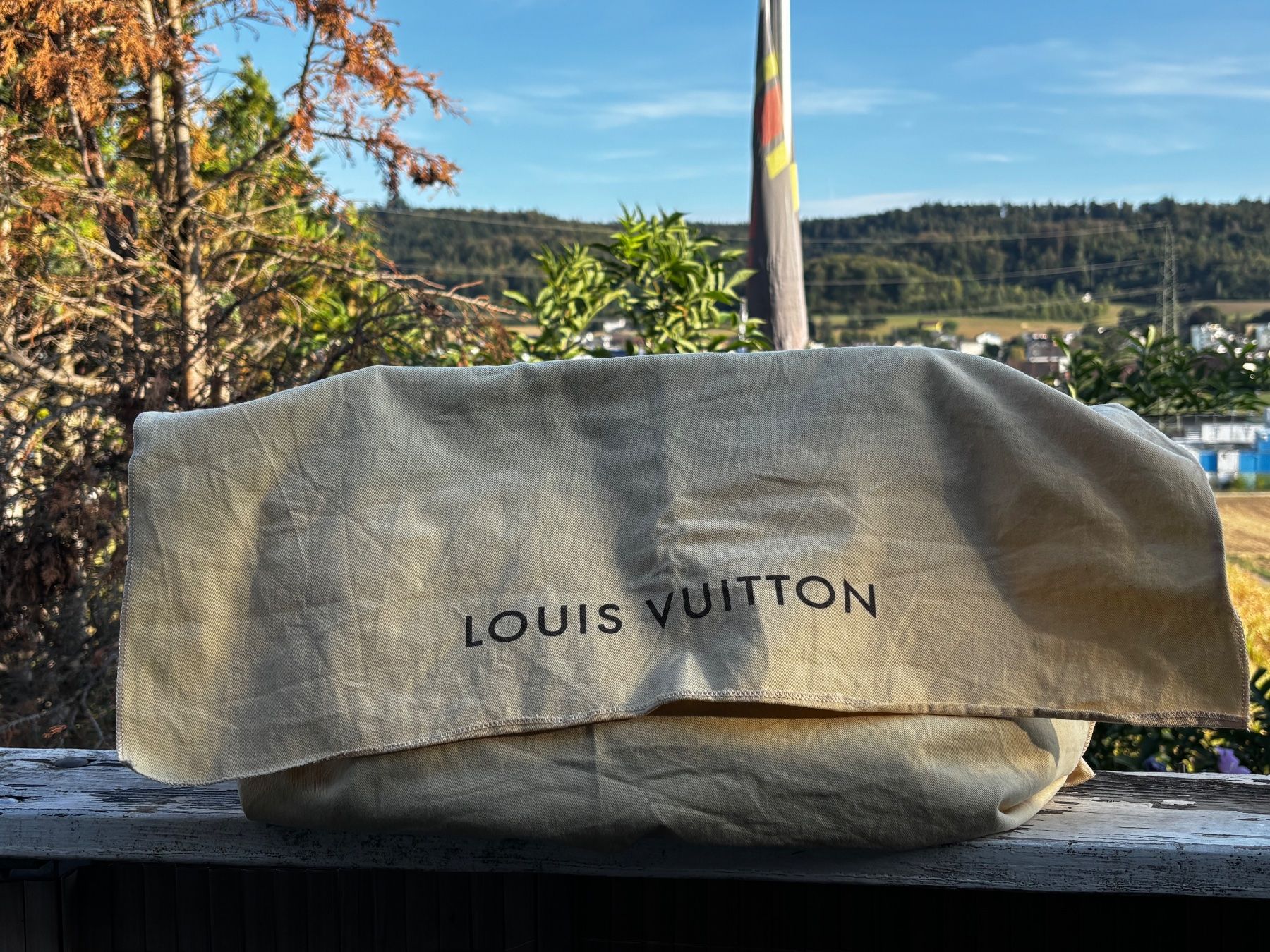 Louis Vuitton Taschen für Damen: Louis Vuitton Tasche – Gebraucht aus Walterswil SO von Sunshineyupi 9
