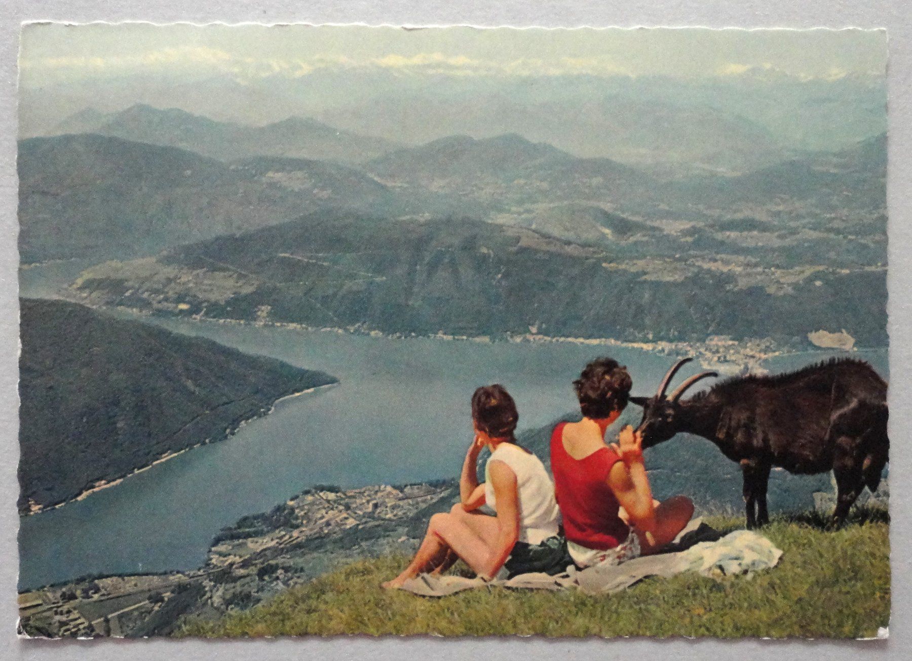 Cartoline postali: Monte Rosa – Usato da Fétigny venduto da Billy2miny