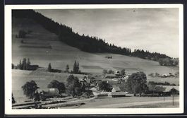 AK Riffenmatt, Ortsansicht mit Umland
