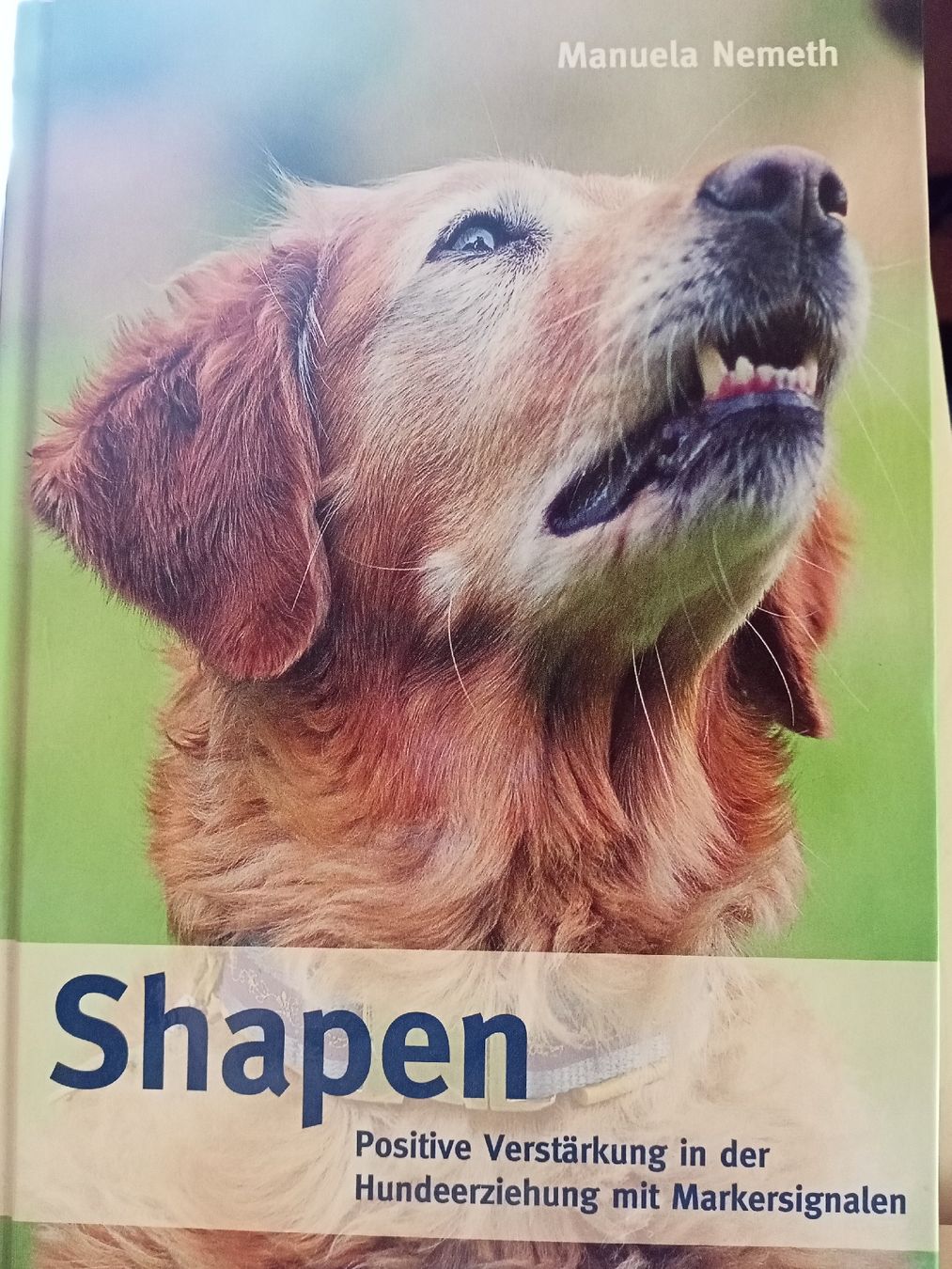 Bücher: M. Nemeth: Shapen – Gebraucht aus Oftringen von Myti