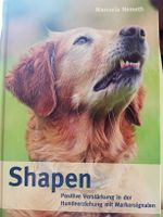 M. Nemeth: Shapen