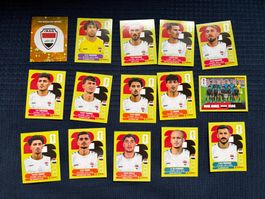 15 Panini Sammelbilder von Iraq