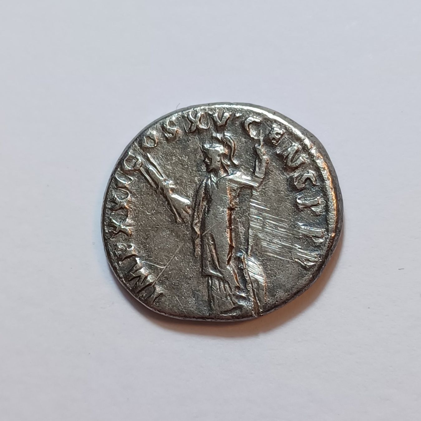 Alle Münzen: Denarius Domitian (81-96) Römisches Reich – Gebraucht aus Pfäffikon ZH von Antike_Muenzen 1