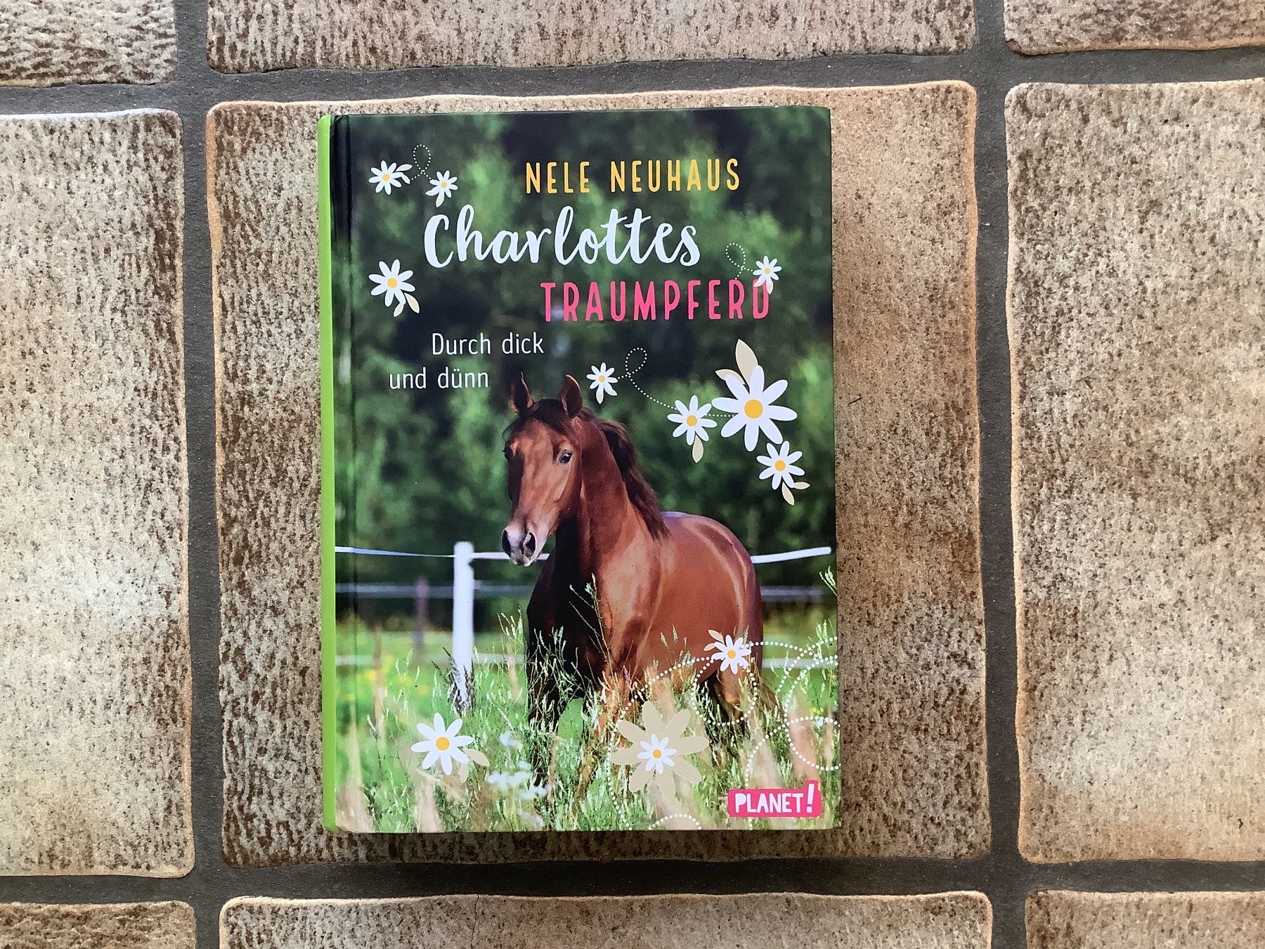 Libri: Charlottes Traumpferd – Nuovo (secondo la descrizione) da Bonstetten venduto da Lia29