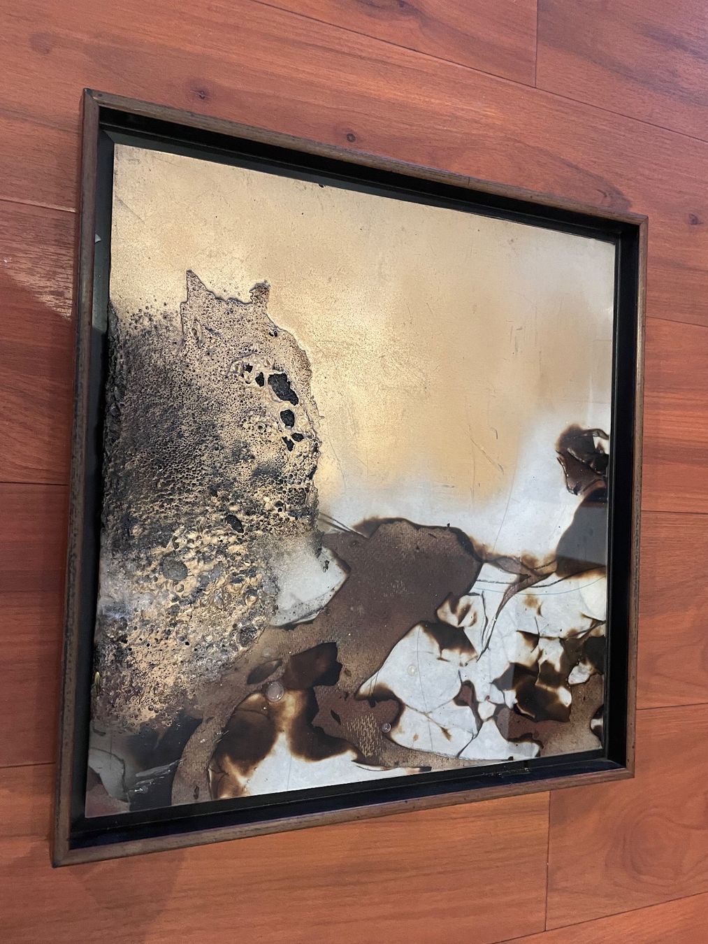 Foto & Immagini: Tolles Multiple von Robert Rauschenberg! – Usato da Fidaz venduto da KunstsammlerGR60