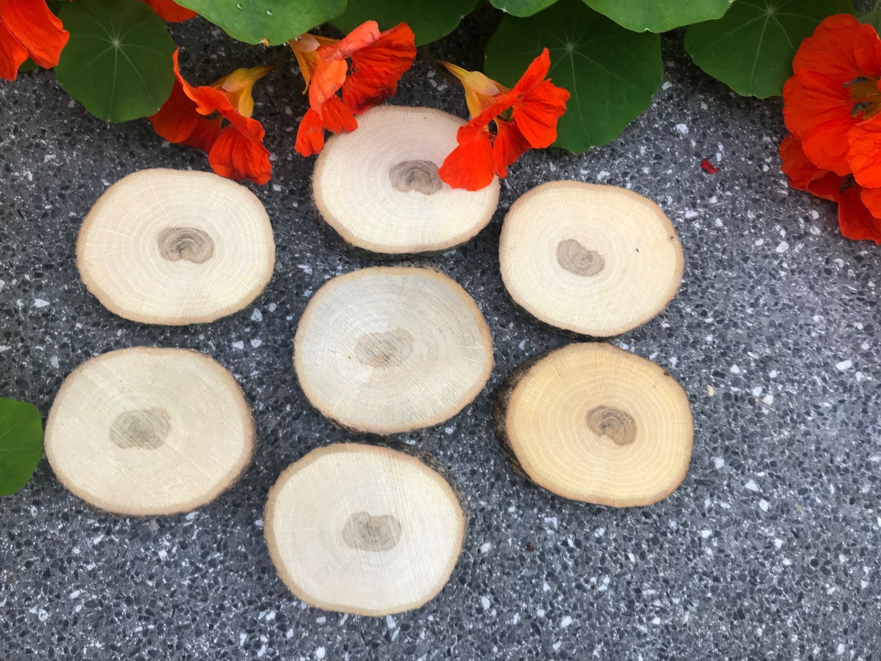 Articoli in legno: Holzscheiben – Nuovo e nell'imballaggio originale da Buttwil venduto da mina010 3