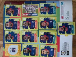 panini Cabo Verde Set