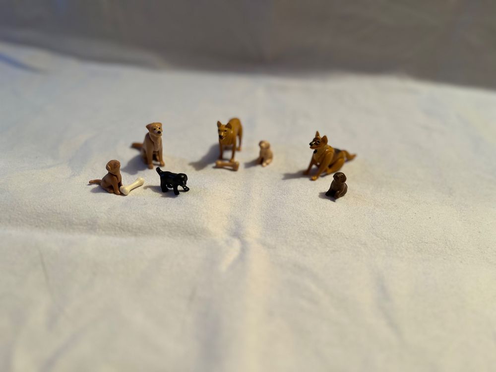  Playmobil Hunde-Set 