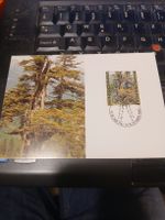 Carte postale Liechtenstein avec timbre, forêt, Noël 1980