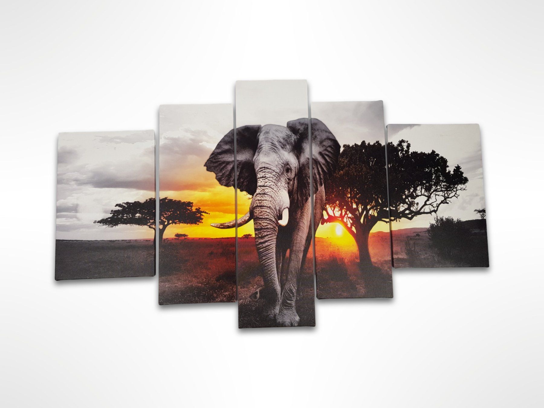 Poster & Bilder: 5-teiliges Bild Elefant – Gebraucht aus Suhr von Restwert_Suhr