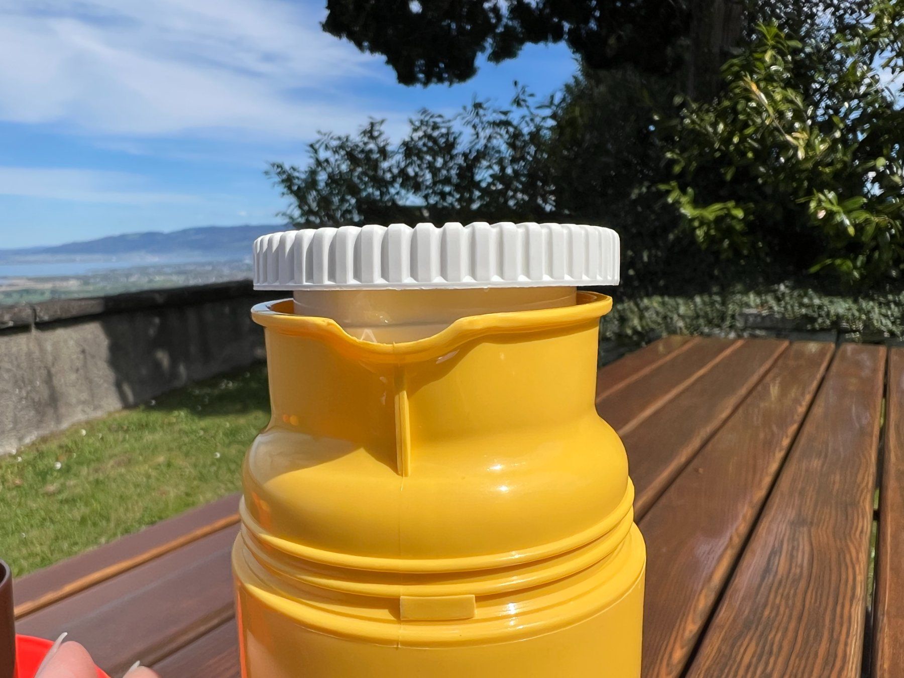 Thermos Borracce & Thermos: Vintage Thermosflasche - W.Germany – Usato da Walzenhausen venduto da stilvollwohnen 1