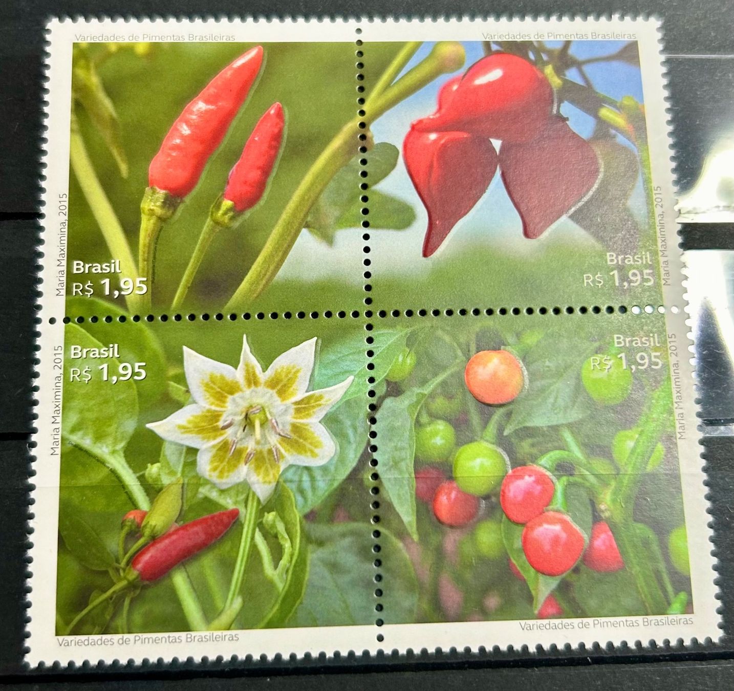 Alle Briefmarken: Bloc de timbres sur les piments du Brésil – Neu (gemäss Beschreibung) aus Petit-Lancy von Pierre_le_voyageur