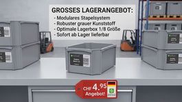 Eurobox Einsatzbox 1/8 Grau Kunststoffbox Lagerbox