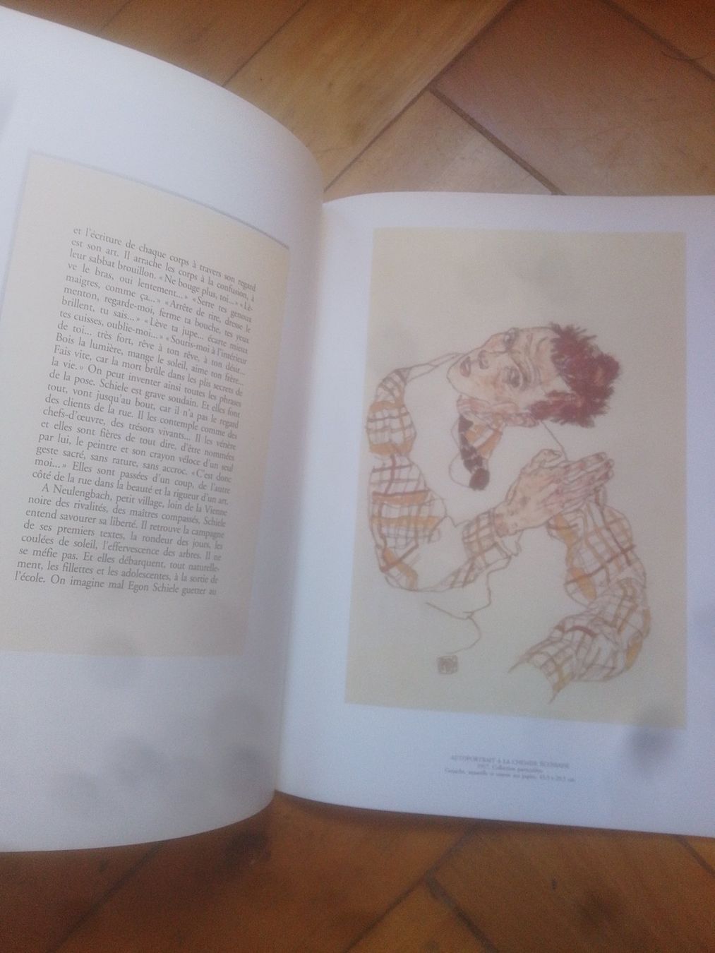 Libri: Livre Egon Schiele – Usato da Fribourg venduto da mar_z757 1