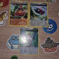 Cartes Pokémon Xy