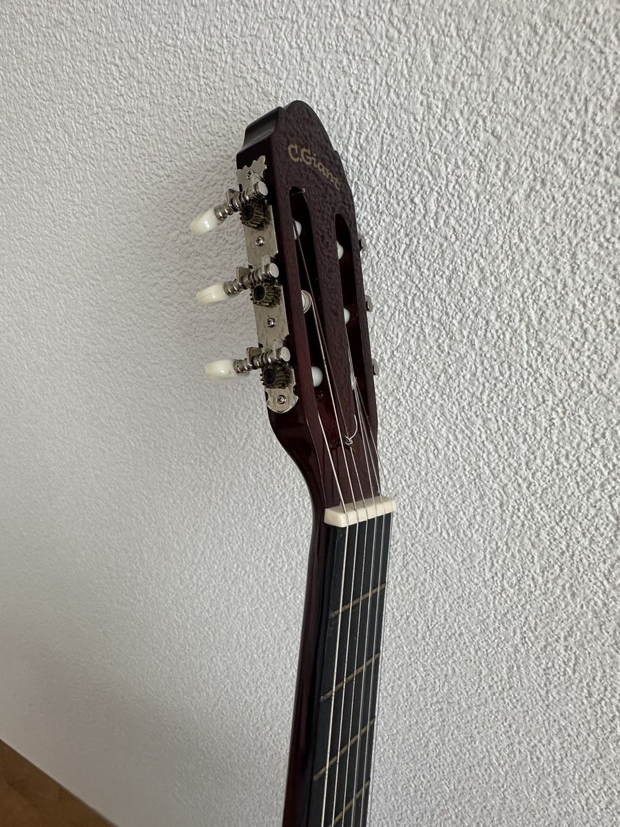C.Giant Strumenti musicali: Gitarre C.Giant – Usato da Schaffhausen venduto da pinca19 9