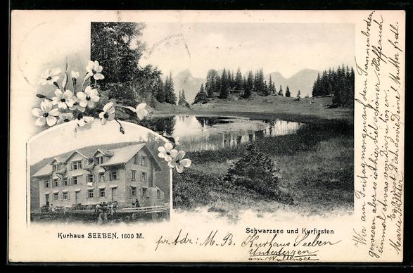 Ansichtskarten: Oberterzen /Wallensee, Kurhaus Seeben, S – Gebraucht aus Berlin von bartko-reher