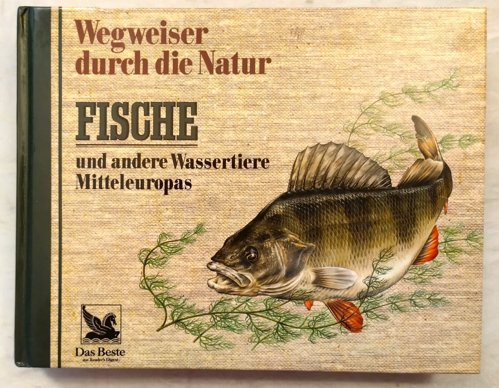 Libri: Fische + andere Wassertiere  Mitteleuropas / Buch 1986 – Usato da Bellach venduto da JingleJerry