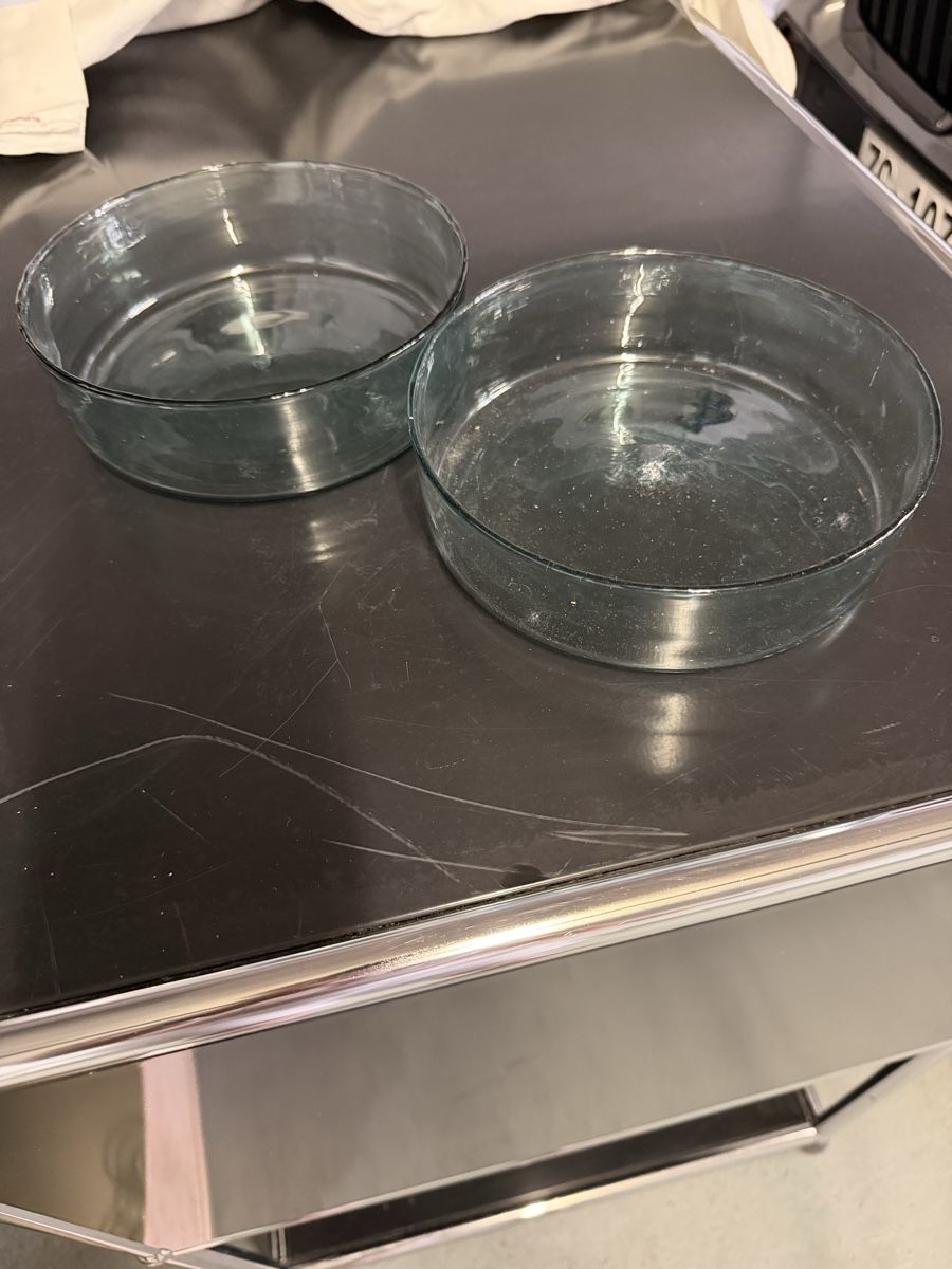 Coupes: Henry Dean Glasschalen hellblau 2x – D'occasion à Oberwil b. Zug par eli_q5dp