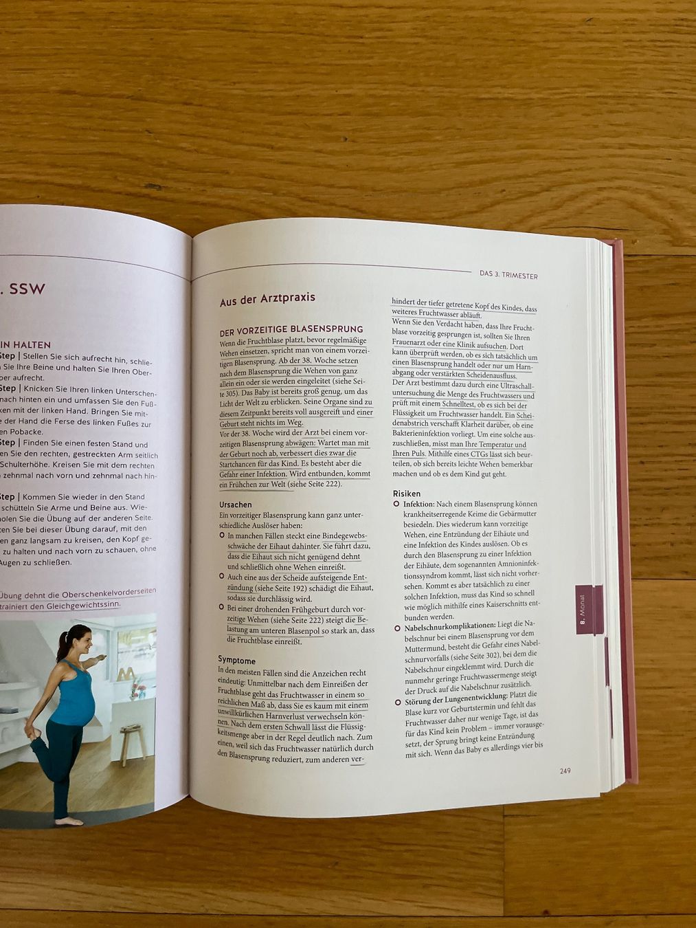 Libri: Buch "Das grosse Buch zur Schwangerschaft", Hardcover – Usato da Ehrendingen venduto da abo_p9n6 3