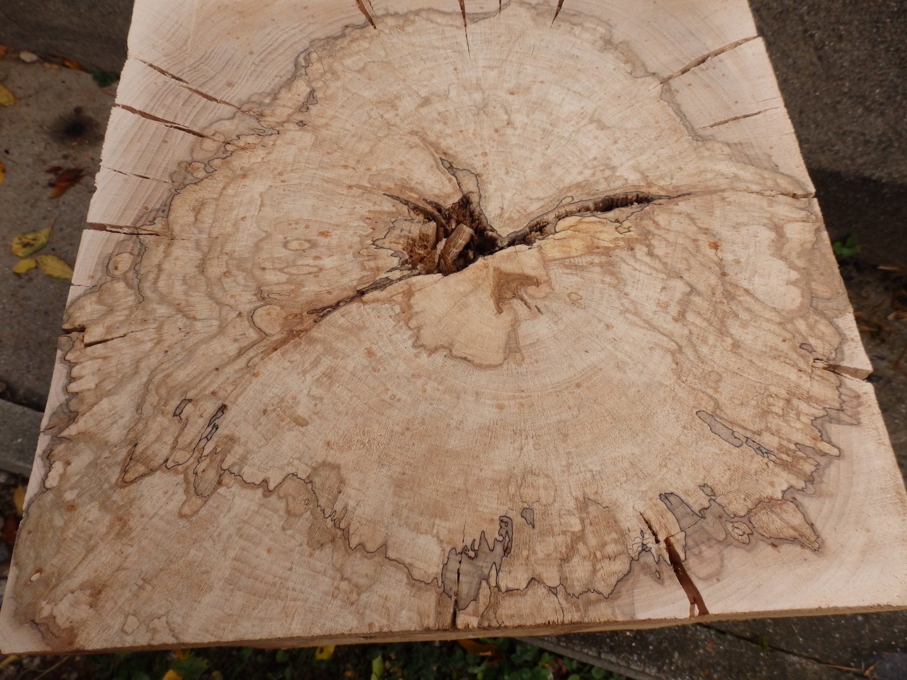 Articoli in legno: Holzwürfel – Nuovo e nell'imballaggio originale da Heiligenschwendi venduto da kiplimo 2