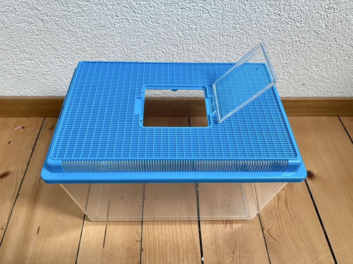 Gabbie, trasporto & Sicurezza: Nagertransportbox – Usato da Bern venduto da mamu113 2