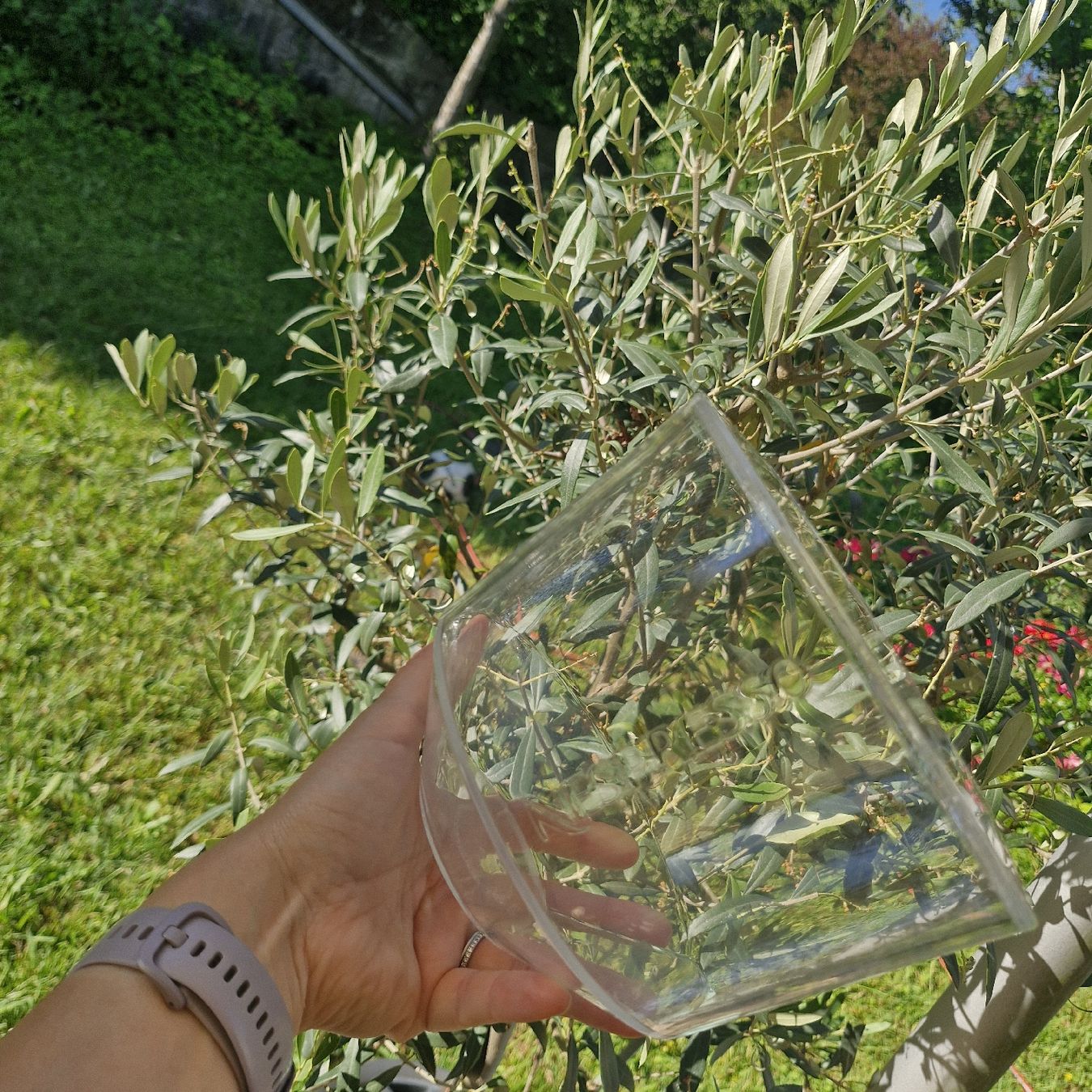 Contenitori & Simili: Nespresso Kapslebehälter in Kapselform – Usato da Forch venduto da nadinepalermo 2