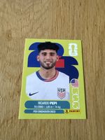 Carte panini 2026