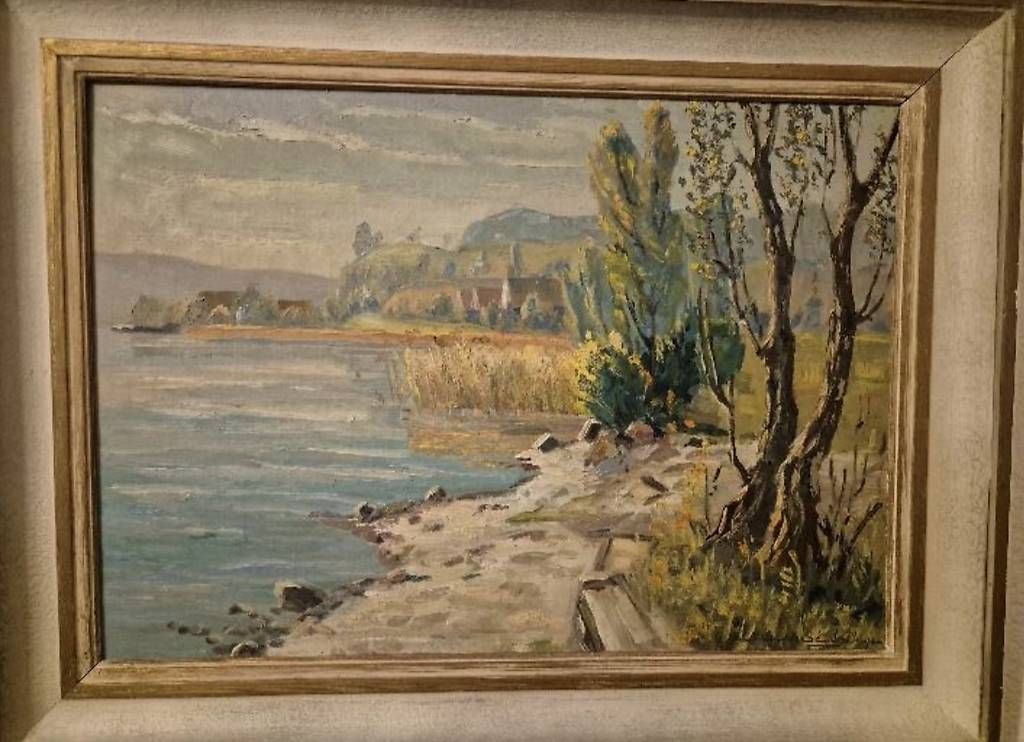 Dipinti: Feldbach/Schirmensee – Usato da Wetzikon ZH venduto da mat_z2k6
