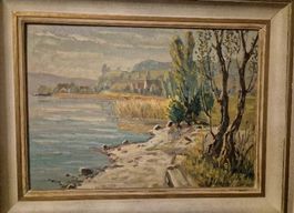 Feldbach/Schirmensee