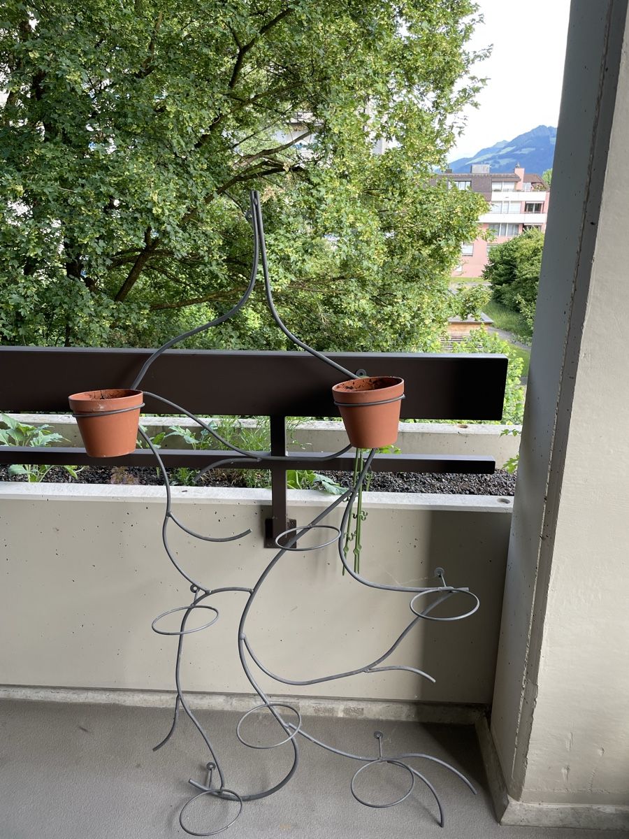 Ferramenta: Blumentopf-Halterung – Nuovo (secondo la descrizione) da Siebnen venduto da sab_8v6t