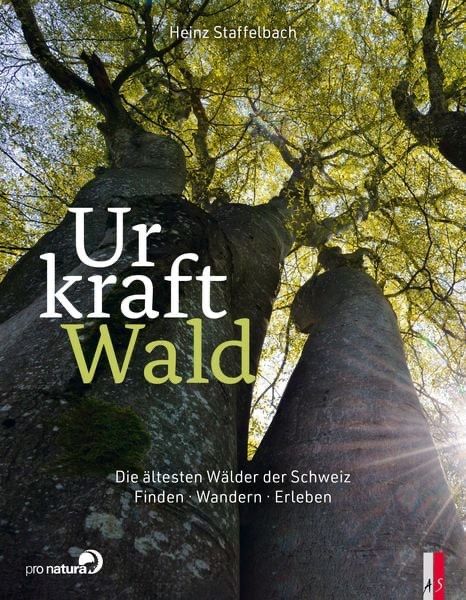 Livres: Urkraft Wald – Neuf (Voir description) à Stetten AG par Rvipersnake
