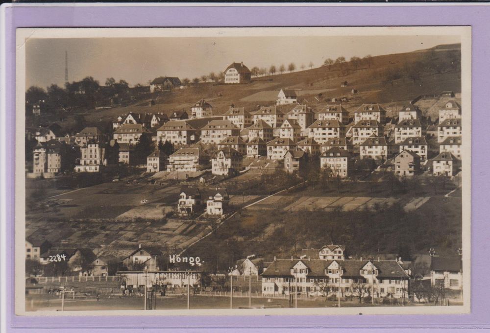 h-ngg-z-rich-alte-ansichtskarte-um-1920-grasshopper-gebraucht-in