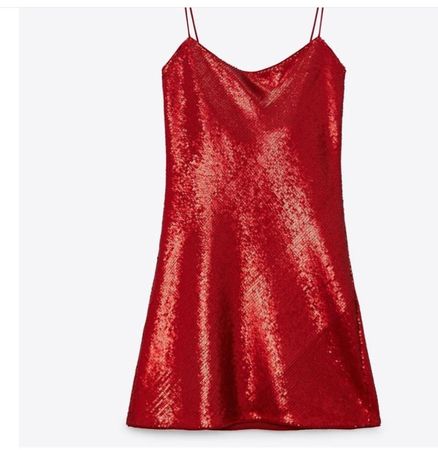 Zara dress